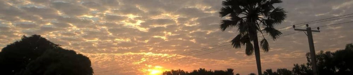 cropped-Bakau-Fajara_Sunset.jpeg